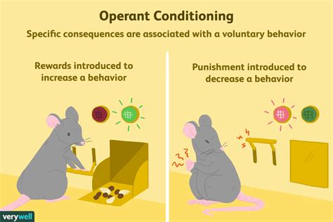 What is operant conditioning and gambling  In order to try and grasp the mechanisms that drive addictive behaviors and addiction, it can be helpful to use concepts that may already be familiar